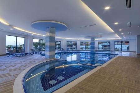 Lonicera Premium - 24