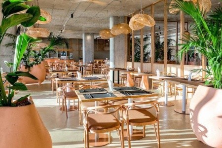 Epidamn White Sensation - 12