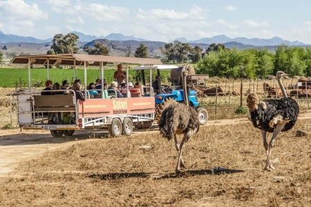 Jižní Afrika – Garden Route s českým průvodcem - 3