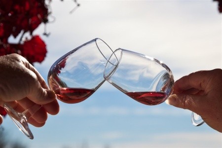 Jižní Afrika – Garden Route s českým průvodcem - 8