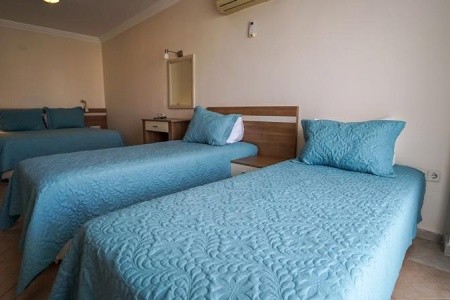 Catty Cats Garden - 48