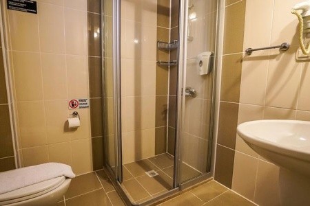 Catty Cats Garden - 56