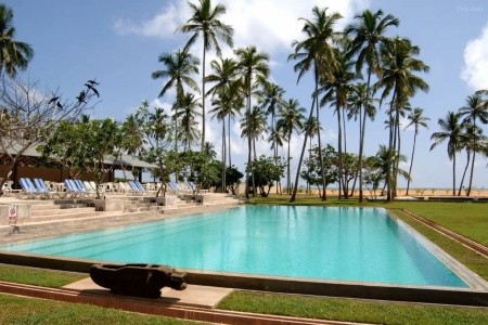 Pegasus Reef (Wattala) - 2