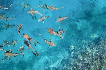 Maldivy Južný Atol Male Anantara Veli Resort & Spa 12 dňový pobyt Raňajky Letecky Letisko: Praha February 2026 (19/02/26- 2/03/26)