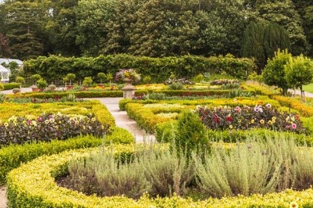 To nejlepší z Irska - 8