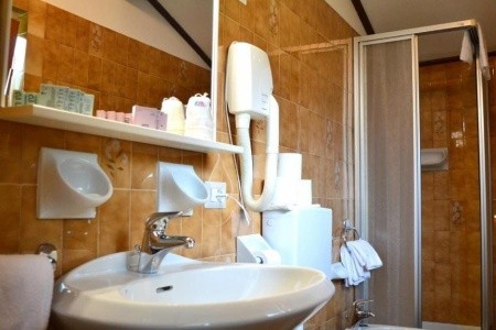 Stella Alpina (Bellamonte) - 12