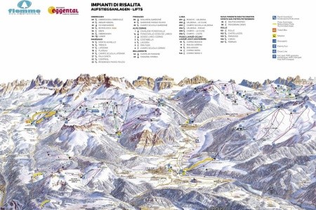 Stella Alpina (Bellamonte) - 14