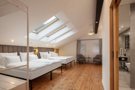 Pytloun Wellness Hotel Harrachov - 20