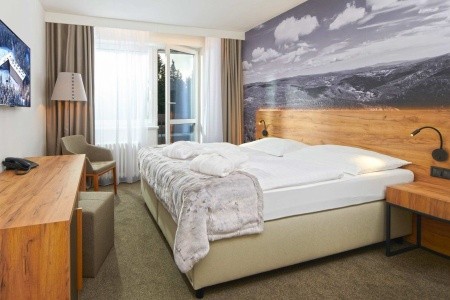 Wellness Hotel Svornost - 11