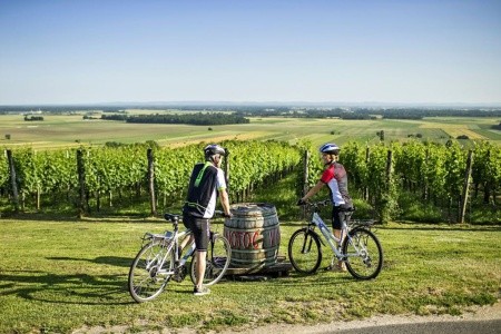 Appartements Prekmurska Vas - 14