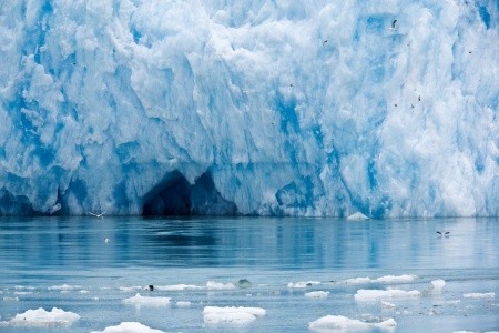 Ledové Království Aljašky - 13