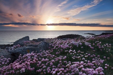 SKOTSKO, ORKNEJE A OSTROV SKYE - 3