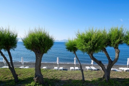 Dimitra Beach Resort - 78