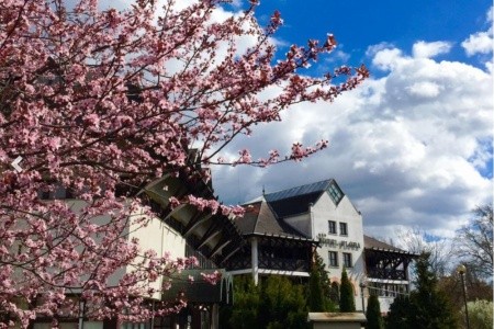 Hunguest Flóra - 12