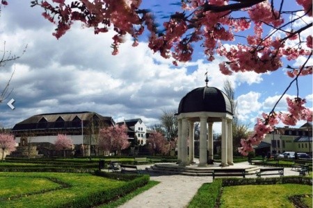 Hunguest Flóra - 15