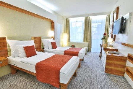 St. Joseph Royal Regent - 7