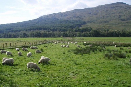 West Highland Way - 15