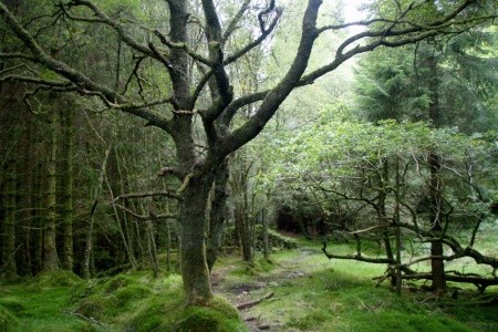 West Highland Way - 26