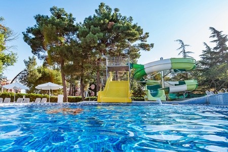 Bulharsko Slnečné Pobrežie Ihot@L 13 dňový pobyt All Inclusive Letecky Letisko: Praha August 2026 (16/08/26-28/08/26)