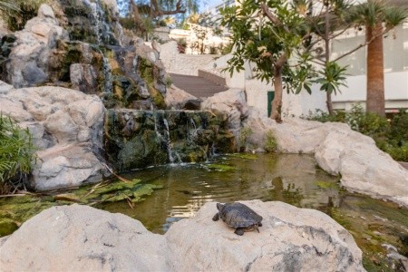 Catalonia Punta Del Rey - 14