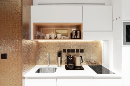 Adagio Premium The Palm - 16