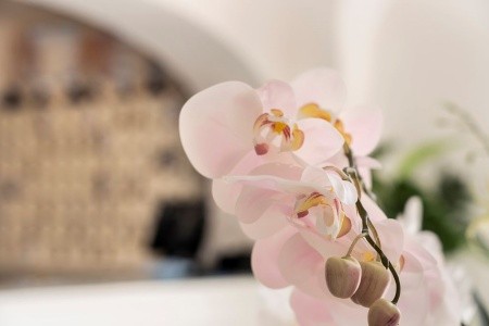 Terme Park Imperial - 42