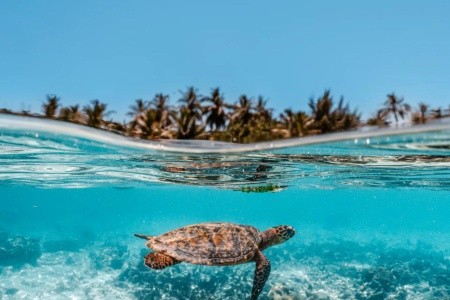 Maldivy  Raffles Maldives Meradhoo Resort 10 dňový pobyt Raňajky Letecky Letisko: Praha October 2026 (10/10/26-19/10/26)