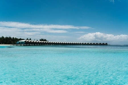 Cinnamon Hakuraa Huraa - 15