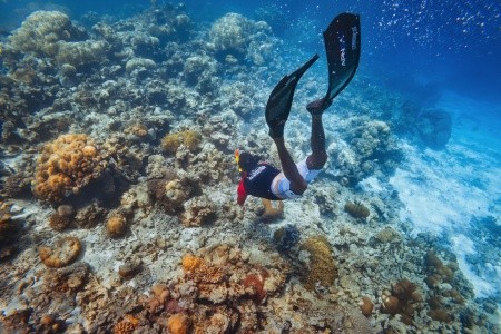 Cinnamon Hakuraa Huraa - 18