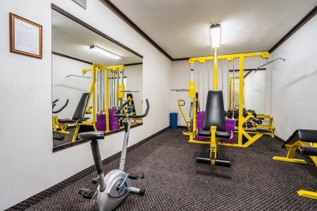 Lipno (Radslav) - 18