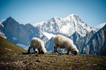Švýcarsko letecky - Matterhorn, ledovce i víno s vlaky a lanovkami v ceně - 8