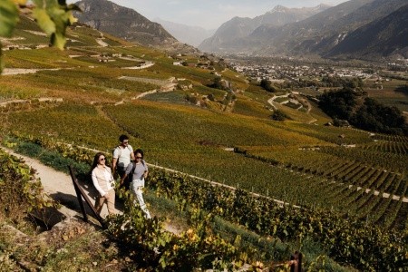 Švýcarsko letecky - Matterhorn, ledovce i víno s vlaky a lanovkami v ceně - 10