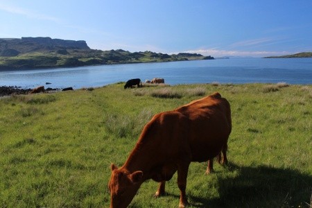 Ostrov Skye, západní vysočina a Edinburgh - 31