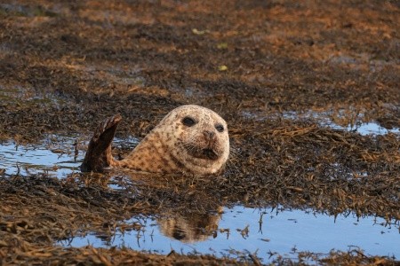 Ostrov Skye, západní vysočina a Edinburgh - 48
