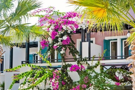 Grécko Santorini Rose Bay 4 dňový pobyt Polpenzia Letecky Letisko: Praha July 2026 (28/07/26-31/07/26)