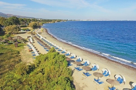 Kipriotis Hippocrates - 6