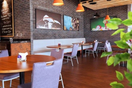 Spojené arabské emiráty Dubaj Park Regis Business Bay 15 dňový pobyt Plná penzia Letecky Letisko: Praha March 2026 (10/03/26-24/03/26)