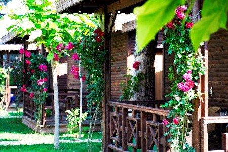 Flora Garden Beach - 100