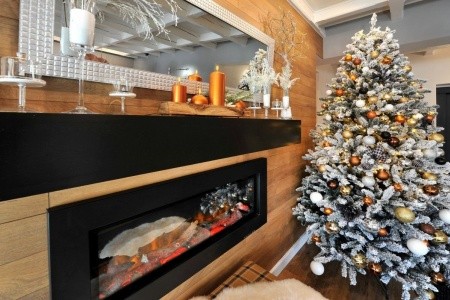 Slovensko Vysoké Tatry Aplend Vila Beatrice 4 dňový pobyt Bez stravy Vlastná January 2027 (11/01/27-14/01/27)