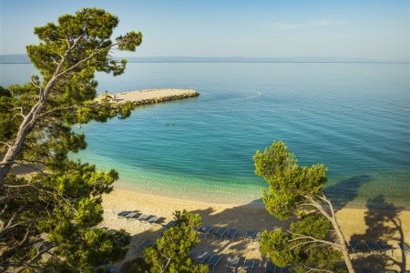 Aminess Laurel Khalani - 12