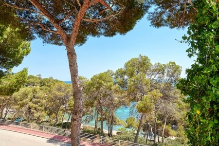 Iberostar Club Cala Barca - 199