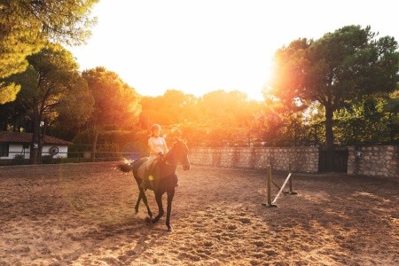 Turecko Belek Bellis Deluxe 8 dňový pobyt All Inclusive Letecky Letisko: Praha August 2026 (31/08/26- 7/09/26)