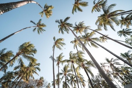 Diamonds Mapenzi Beach (Ex. Sandies) - 87