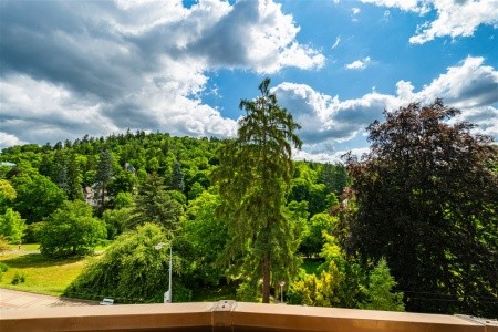 Danubius Health Spa Resort Butterfly - 3