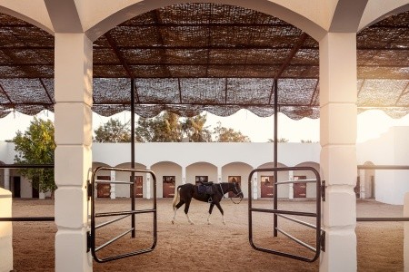 Palm Royale Resort Soma Bay - 20