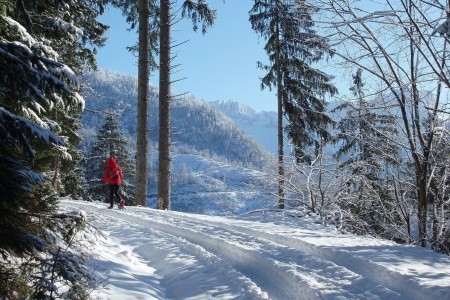Goldenes Schiff (Bad Ischl) - 14