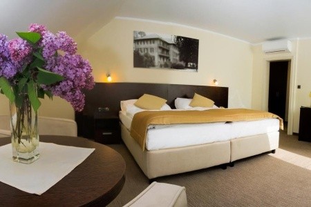 Ensana Pro Patria Health Spa - 2