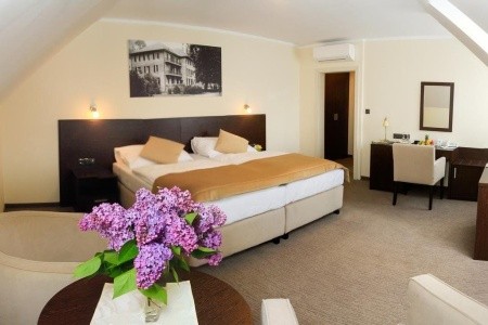 Ensana Pro Patria Health Spa - 3