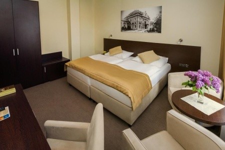 Ensana Pro Patria Health Spa - 4