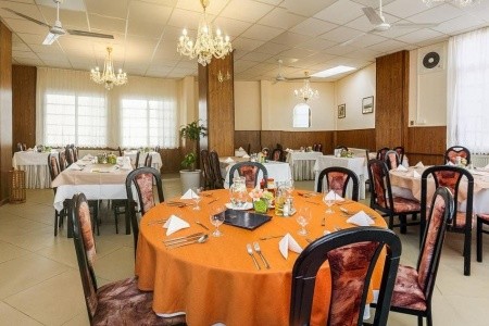 Ensana Pro Patria Health Spa - 8